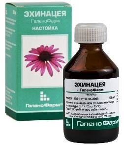 Пурпурна ехинацея (тинктура) инструкции за използване, както за приемане на имунитет