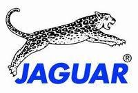 Uscătoare de păr jaguar