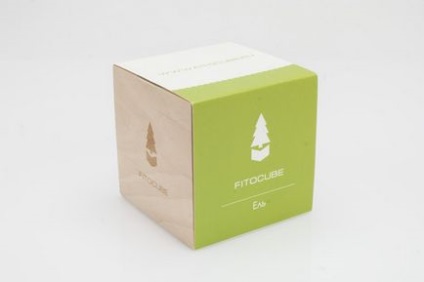 Fitocube - fitocube molid, floare de floarea soarelui, palmier