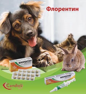 Флорентин - комплексний симбіотиків для профілактики дисбактеріозу у кішок і собак