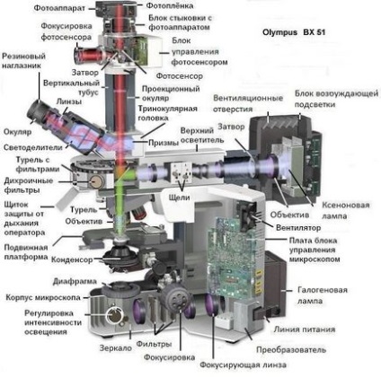 Microscop fluorescent