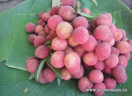 Fructe din Thailanda și fructe exotice în Thailanda