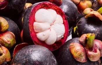 Gyümölcs mangosztán kedvező tulajdonságokkal, használja a terápiás alkalmazás, kárt és ellenjavallatok