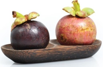 Gyümölcs mangosztán kedvező tulajdonságokkal, használja a terápiás alkalmazás, kárt és ellenjavallatok