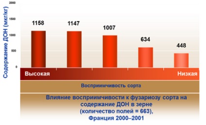 Фузаріоз зерна небезпеку і заходи зниження шкодочинності