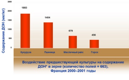 Фузаріоз зерна небезпеку і заходи зниження шкодочинності