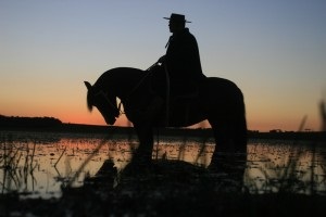 Gauchogut cowboy