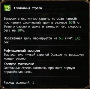 Гайд по слідопити в drakensang online - білд для pvp, pve