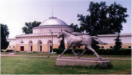 Де отримати кінне освіту