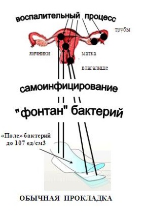 Гігієнічні прокладки шкода, користь або необхідність блог моя бетешка