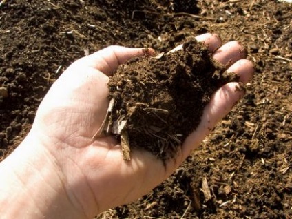 Clayey și soluri nisipoase - proprietăți, îngrășăminte care plantează