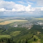 Munte cerci în gândac blond fotografie, descriere