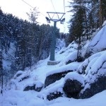 Munte cerci în gândac blond fotografie, descriere