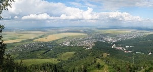 Munte cerci în gândac blond fotografie, descriere