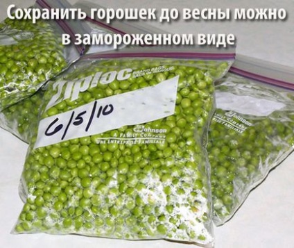 Горошок зелений - калорійність, корисні властивості, користь і шкода, опис