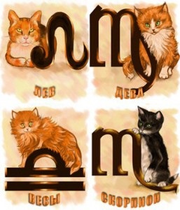 Horoszkóp macskáknak