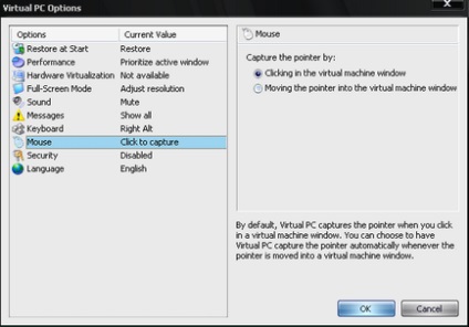 Hardware virtualization