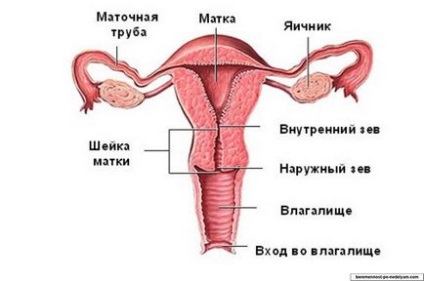 ІЦН при вагітності види, причини розвитку, симптоми, лікування