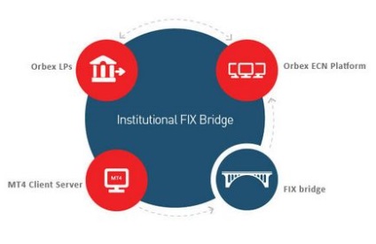 Clienți instituționali și informații despre servicii, orbex