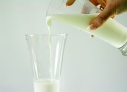 Інжир з молоком від кашлю - рецепт
