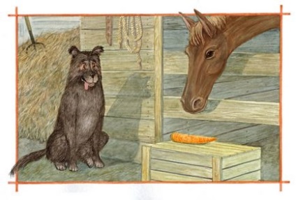Povestiri despre sentimentele bune și prietenia animalelor - revista ortodoxă - Foma