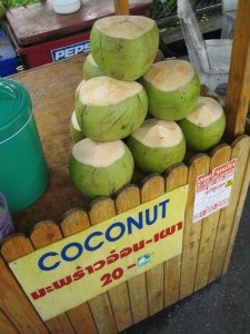 Istoria nucă de cocos, cultivarea de nucă de cocos în Thailanda, mâncăruri de nucă de cocos, atracții din Thailanda