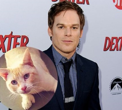 Bărbați celebri care iubesc pisicile