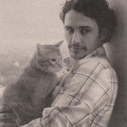 Bărbați celebri care iubesc pisicile