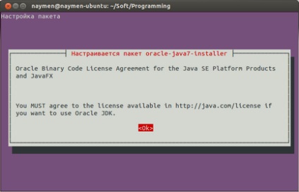 Jdk în ubuntu și instalarea netbeans