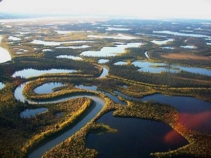 Яка річка найбільша в світі протяжність, площа басейну