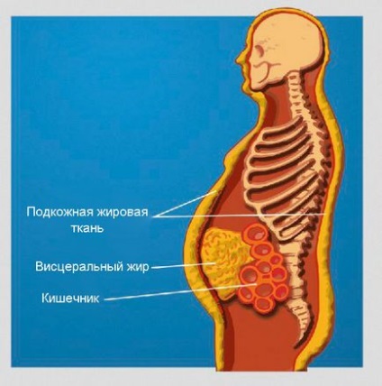 Cum să eliminați repede stomacul și părțile laterale în sfaturile și exercițiile eficiente ale casei