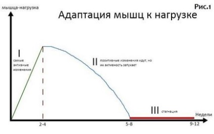 Як часто потрібно міняти програму тренувань