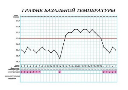 Як часто відбувається овуляція після 30 років скільки разів на рік