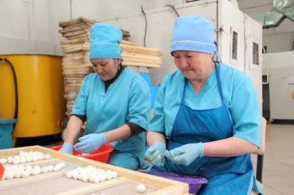 Як готують унікальний продукт казахської кухні - курт (фото)