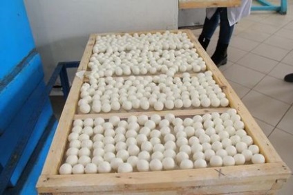 Cum să pregătim un produs unic de bucătărie kazahă - kurt (foto)
