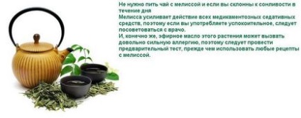 Які трави поєднуються з мелісою як зробити трав'яний збір будинку