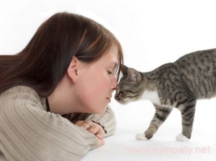 Як лікується алергія на шерсть кішок