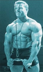 Cum se construiesc mușchii mari
