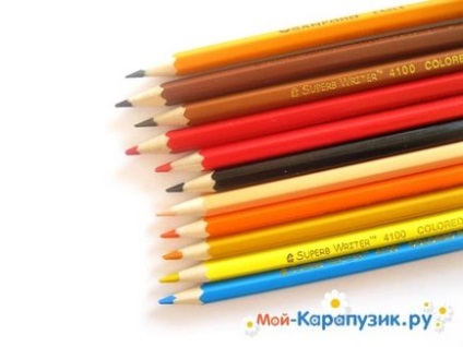 Як намалювати папугу поетапно кольоровими олівцями