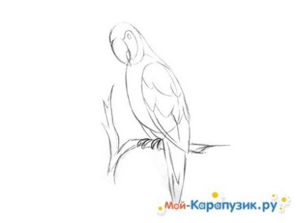 Cum de a desena un papagal în etape cu creioane colorate
