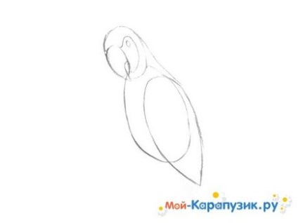 Cum de a desena un papagal în etape cu creioane colorate