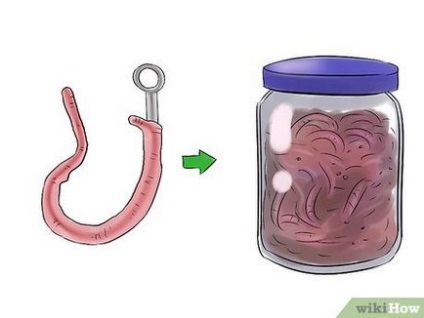 Як начепити черв'яка