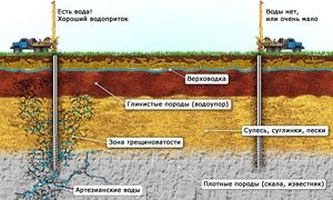 Cum să găsești apă pe site pentru a săpați un puț cu mâinile tale, cum să găsești apă, sfaturi de la specialiști