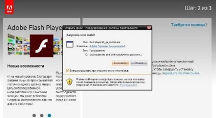 Hogyan kell frissíteni egy elavult bővítmény az Adobe Flash Player - női világ