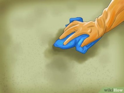 Hogyan tisztítsa meg a szőnyeget hányás háziállatok