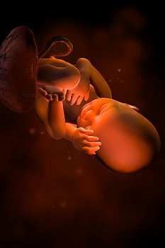 Ce culoare amniotic lichid înainte de naștere