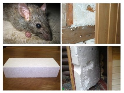 Ce fel de izolare nu este răsucit de șobolani și șoareci