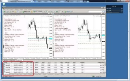 Cum se transferă un metatrader terminal de lucru 4 la un nou server vps