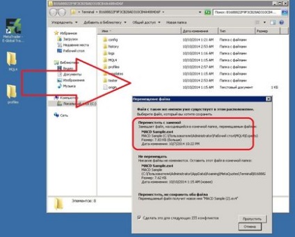 Cum se transferă un metatrader terminal de lucru 4 la un nou server vps