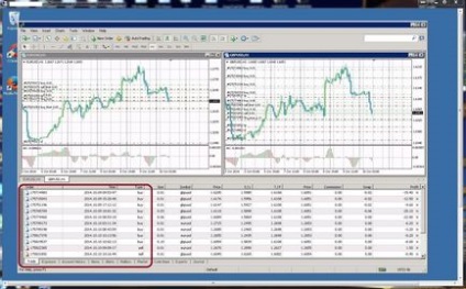 Cum se transferă un metatrader terminal de lucru 4 la un nou server vps